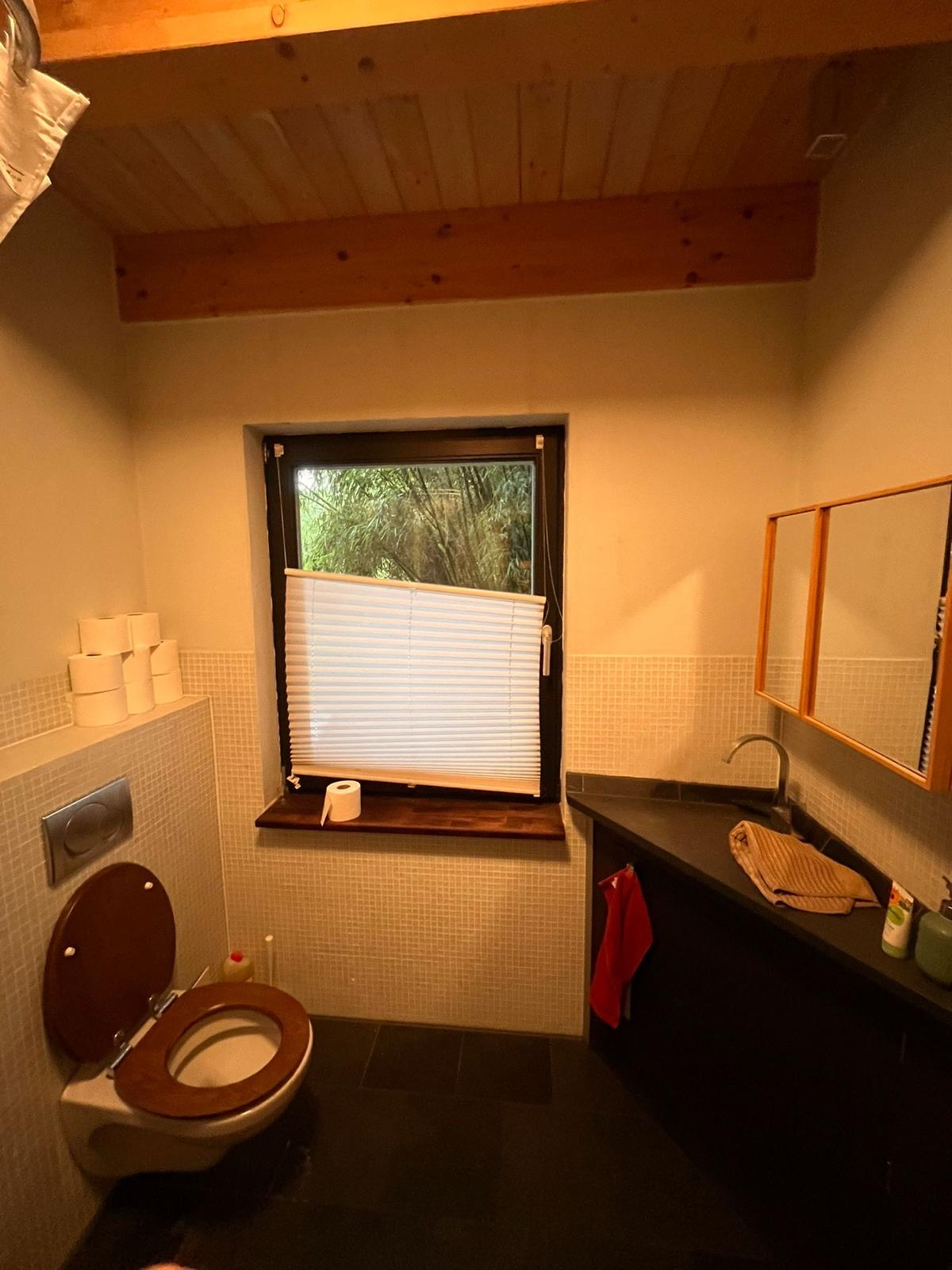 Gäste-WC mit alten Mosaikfliesen und Holzdecke vor dem Abbruch